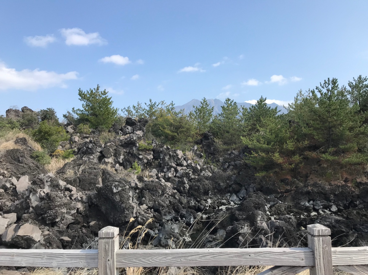 桜島　溶岩なぎさ遊歩道